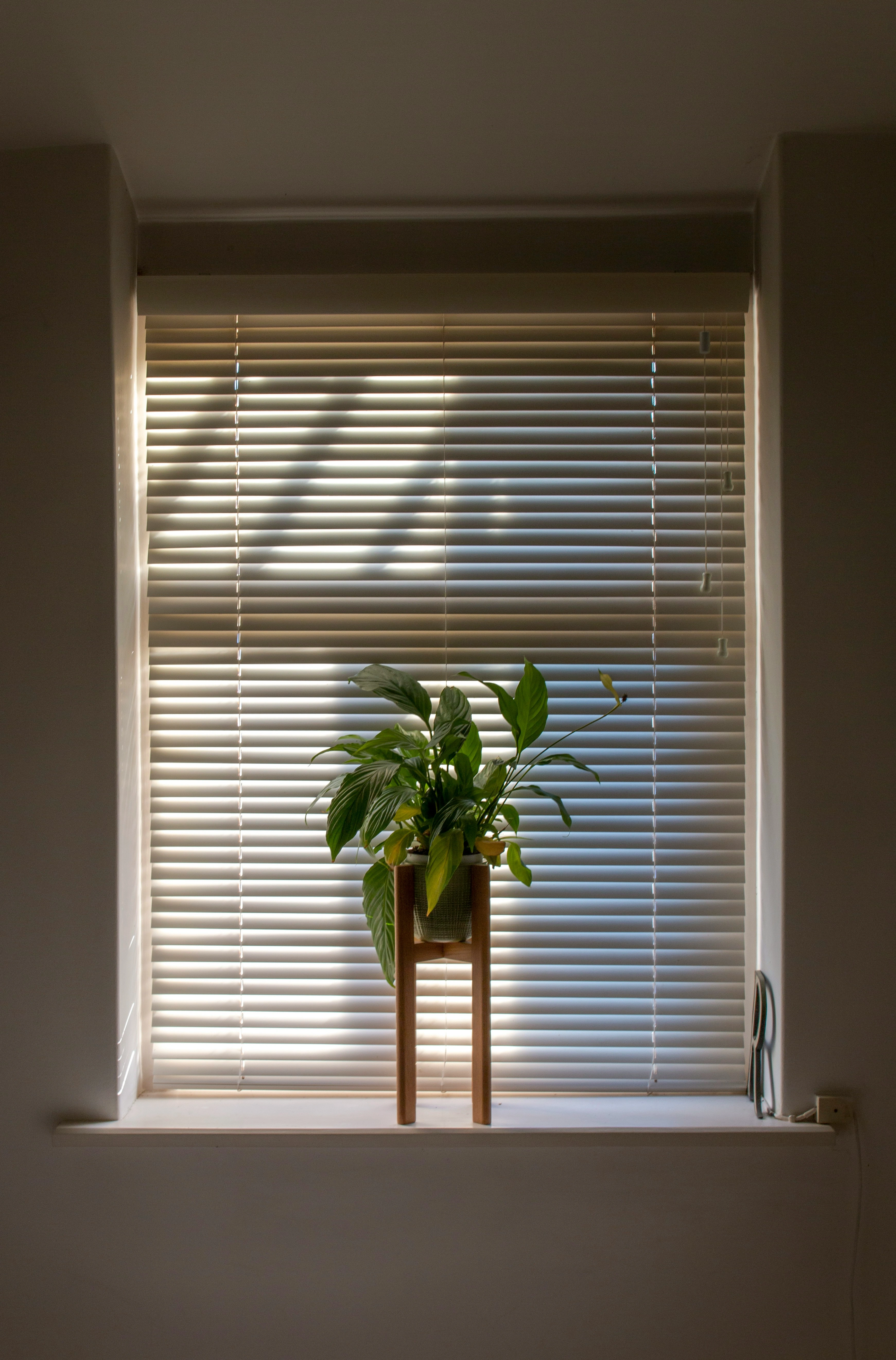 Wooden Blinds
